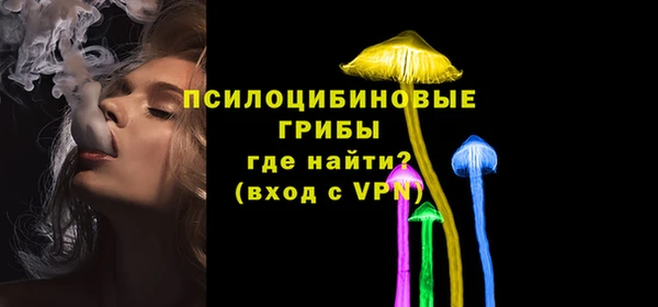 стаф Беломорск