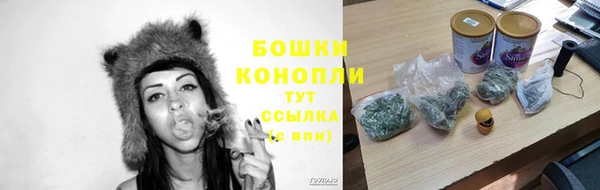 ГАЛЛЮЦИНОГЕННЫЕ ГРИБЫ Балабаново