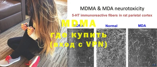 ГАЛЛЮЦИНОГЕННЫЕ ГРИБЫ Балабаново