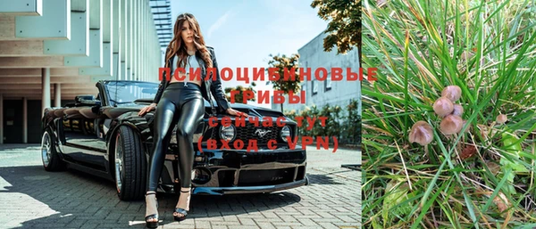 стаф Беломорск