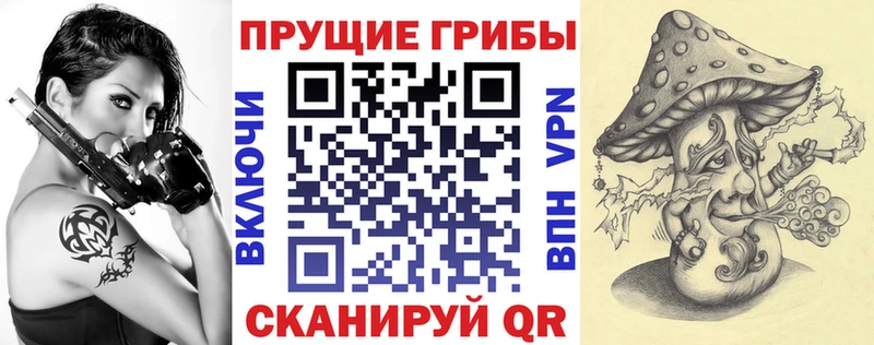 блэк спрут   Новоаннинский  Галлюциногенные грибы прущие грибы 